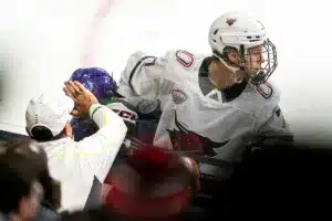 Omaha fans cheer Omaha defenseman Griffin Ludtke
